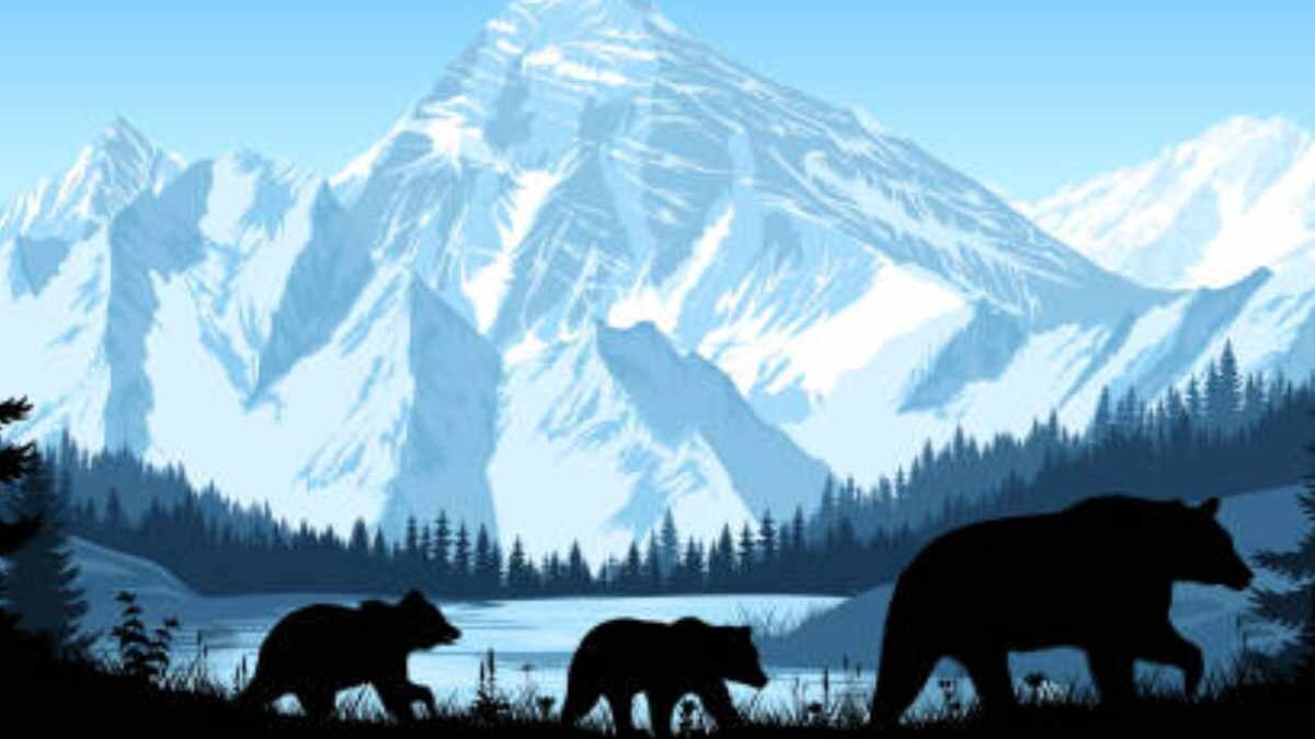 9 Ways To Explore Alaska in 2025