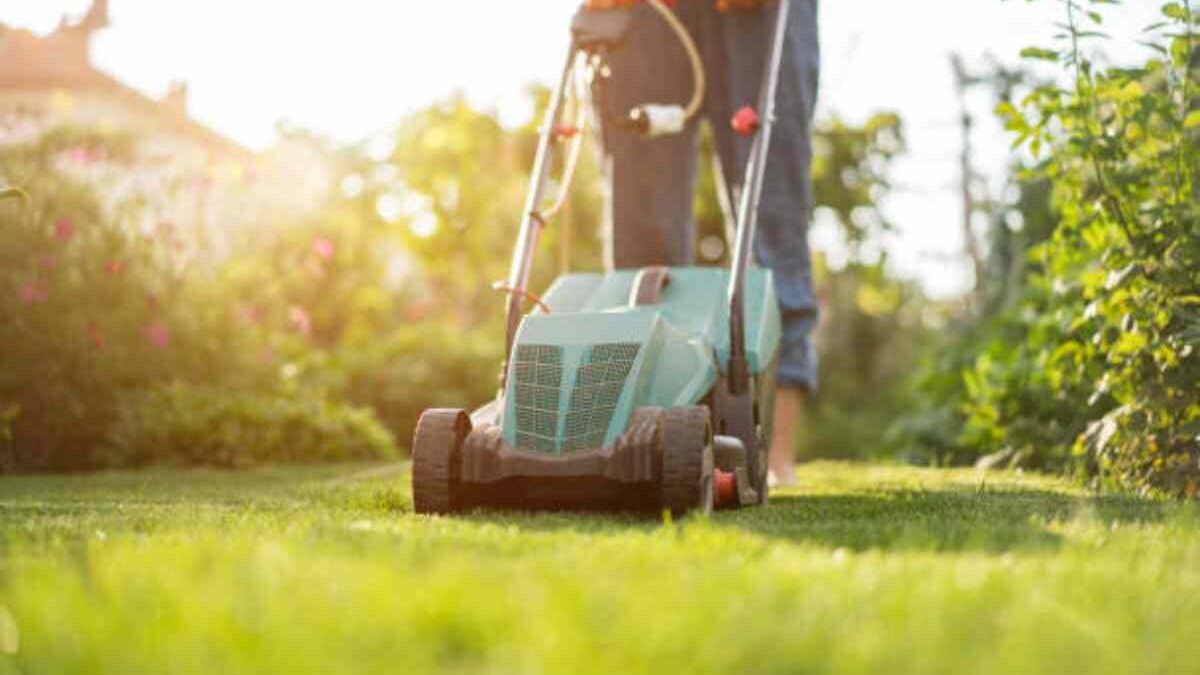 Riding Lawn Mowers For Sale Near Me Chester, United States