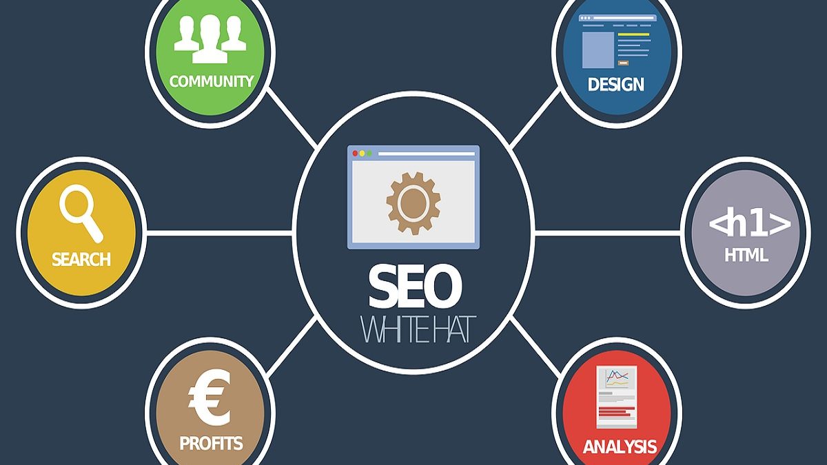 The Major Roles of a New York SEO in Ranking Your Online Business Website [2025]